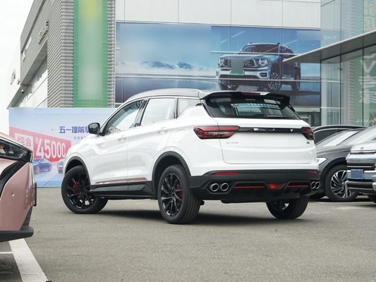 排気量 1.5L ジーリー ビンユー 2WD オートル レザー シート 後ろカメラ 日差し 天井 ガソリン 車