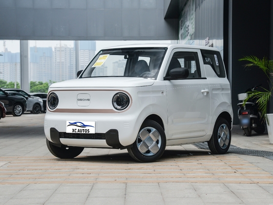 2024 ジーリーパンダ ミニ電動車 4 座 200km 走行距離 ダブル・ウィッシュ・ボーン 後ろ掛け