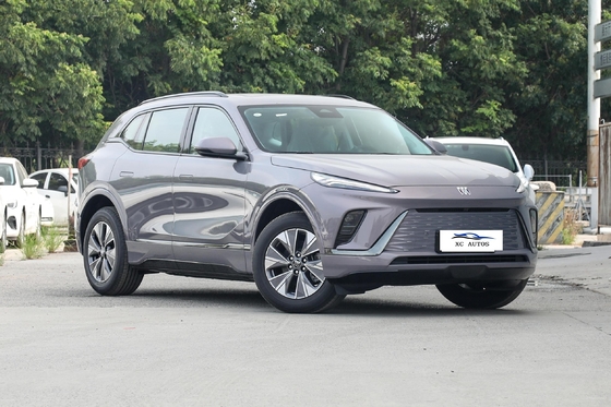 ビュイック E5 シルバー ロングレンジ 620KM SUV 高速用電気自動車