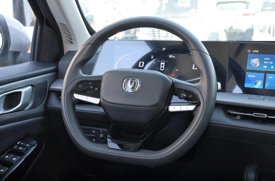 REEV チェンガン ハンター 2024 ウォリアー デラックス シングルモーターピックアップ 電気駐車ブレーキ